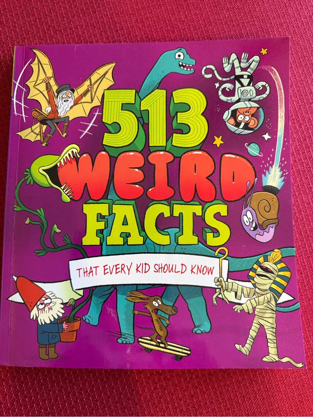 513 Weird Facts That Every Kid Should Know Softcover Book